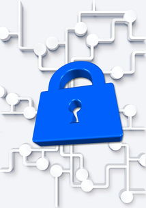 黑客在线接单好技术常识:揭秘平台运作与安全学习路径 第3张 黑客在线接单好技术常识:揭秘平台运作与安全学习路径 第3张