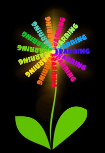 学黑客的最佳年龄:青少年与成年人的学习优势全解析 第3张 学黑客的最佳年龄:青少年与成年人的学习优势全解析 第3张