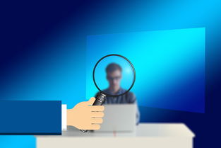 黑客收入多少？揭秘合法与非法途径下的惊人收入差距，助你选择安全高薪职业