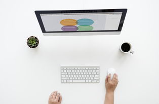 电脑版WPS下载：免费轻量办公神器，一键安装提升工作效率  第2张