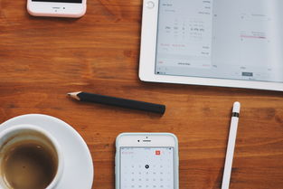 免费下载WPS Office全攻略：安全安装电脑版与手机版，轻松解决办公需求  第2张