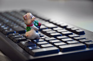 WPS表格下载安装全攻略：从安全获取到快速上手，轻松解决办公统计处理方式需求  第2张